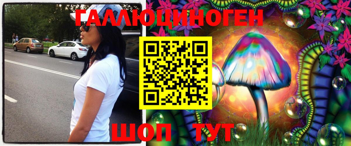 Галлюциногенные грибы GOLDEN TEACHER Гусь-Хрустальный