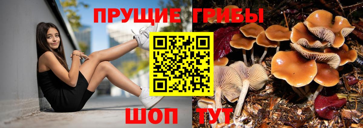 Галлюциногенные грибы Psilocybine cubensis  Вход с VPN  Гусь-Хрустальный  Псилоцибиновые грибы ЛСД 